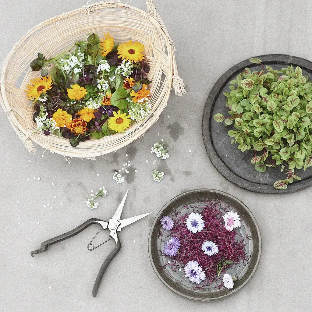 Edible plants