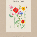 Flower Mix 'Northern Lights'