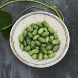 Mouse Melon 'Mexican Sour Gherkin'