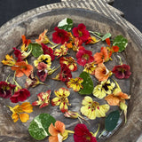 Nasturtium 'Bloody Mary'