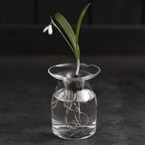 Glass Vase 'Nivalis' Small