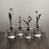 Glass Vase 'Nivalis' Large