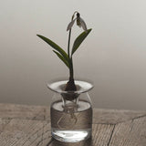 Glass Vase 'Nivalis' Small