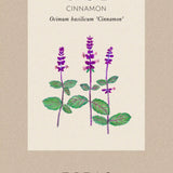 Basil 'Cinnamon'