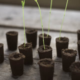 Plant plugs 14 pcs