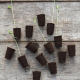 Plant plugs 14 pcs