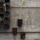 Plant plugs 14 pcs