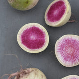 Daikon Radish 'Red Meat'