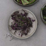 Radish 'Sango Purple'