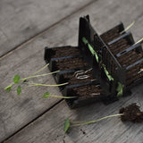 Rootmaster, black