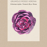 Radicchio 'Grumolo Rosso'