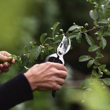 Secateur 'Steel'
