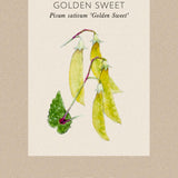 Sugar Pea 'Golden Sweet'