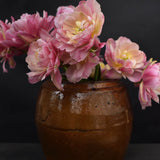 Tulip 'Libretto Double'