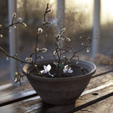 Flower Fakir Small