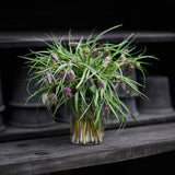 Fritillaria meleagris Mix